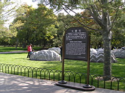 200608_190708b 180.jpg